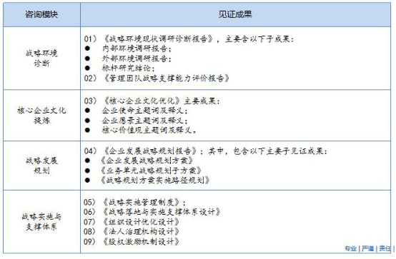 戰(zhàn)略規(guī)劃咨詢項目成果清單